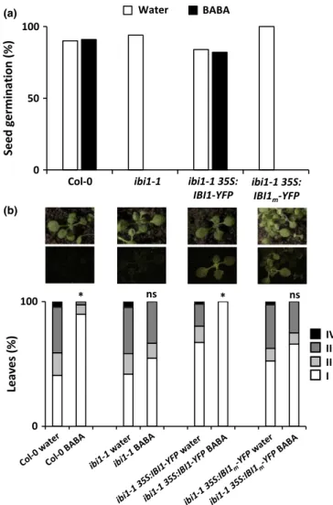 Fig. 1 The ( L )-Asp-binding domain of IMPAIRED IN BABA-INDUCED IMMUNITY 1 (IBI1) is essential for b-aminobutyric acid (BABA) tolerance and BABA-induced resistance against Hyaloperonospora arabidopsidis (Hpa) in Arabidopsis thaliana