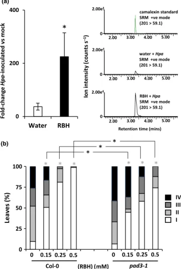 Fig. 4 (R)-b-homoserine (RBH)-induced resistance in Arabidopsis thaliana against Hyaloperonospora arabidopsidis (Hpa) depends partially on priming of camalexin induction