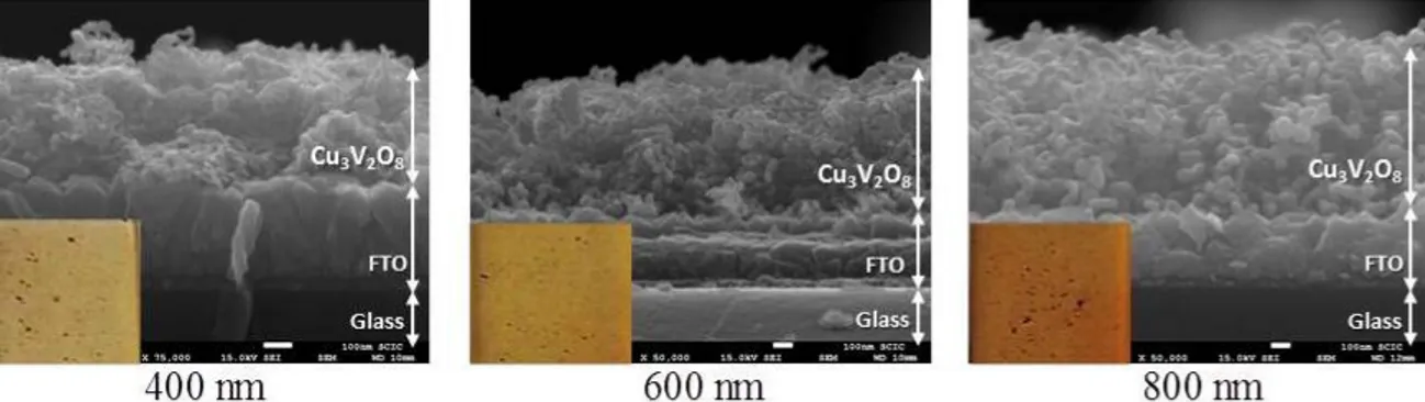 Figure  SI2.  Absorbance  of  Cu 3 V 2 O 8  (dashed  lines) and  Cr:Cu 3 V 2 O 8   (0.75%)  (solid  lines) with different thickness values