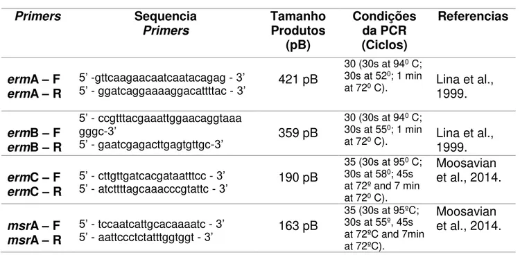 Tabela 1: Primers usados na execução da PCR. 