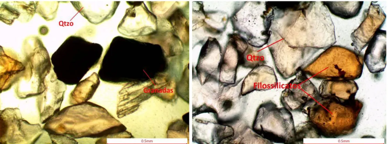 Figura 4. Fotomicrografias dos sedimentos em pastilhas de impregnação indicando a  mineralogia dos mesmos