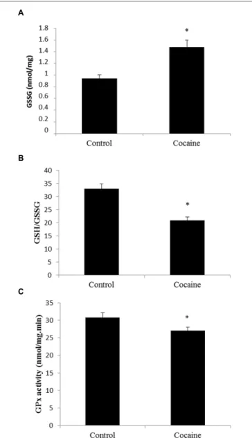 FIGURE 1 | Effect of cocaine administration on cerebellar antioxidant defenses. (A) GSSG concentration (nmol/mg prot) ∗ p < 0.05 vs