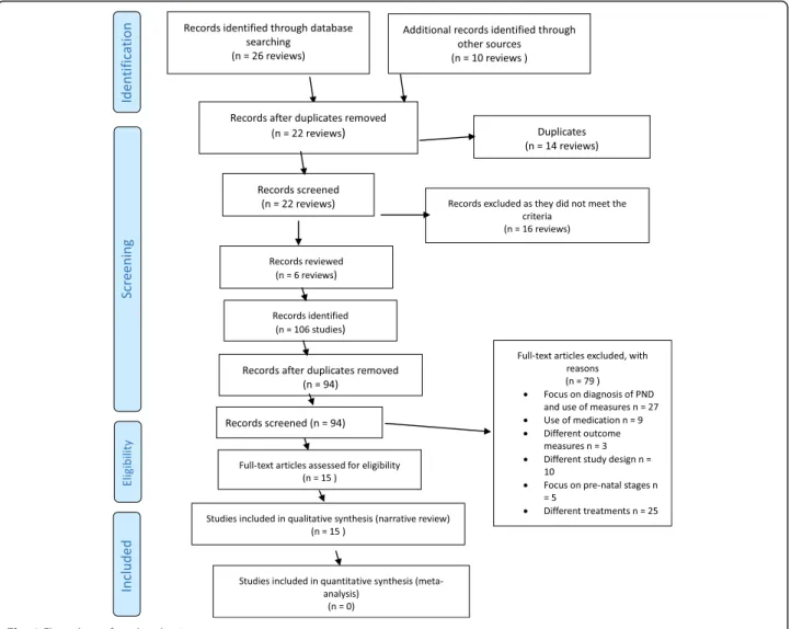 Fig. 1 Flow chart of study selection process