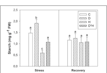 FIGURE 3 | Starch of Eucalyptus globulus exposed to control conditions (C), drought (D), heat (H), and combined stress (D ∗ H) and respective recovery.