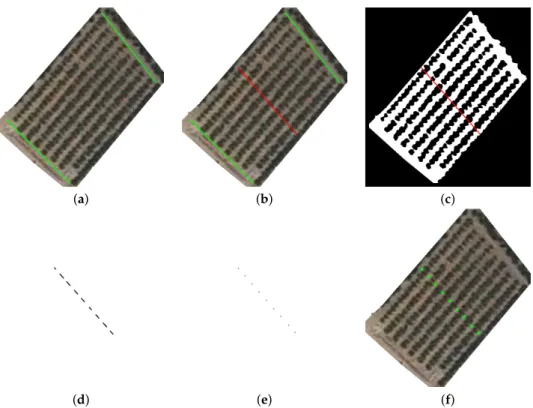 Figure 8. Extracting reference points: (a) determining path row lines perpendicular to tree rows, (b) determining bisection between path row lines, (c,d) intersection between bisection and the Path binary map, and (e,f) new reference points and its represe