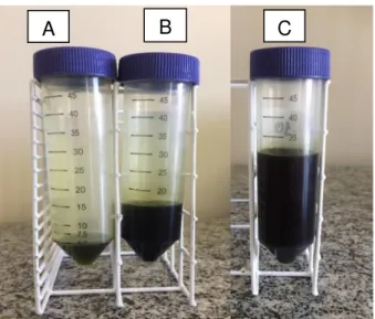 Figura 1. Óleo do bagaço de oliva neutralizado com NaOH (a), Ca(OH) 2  (b) e KOH  (c) por Autores (2017) 