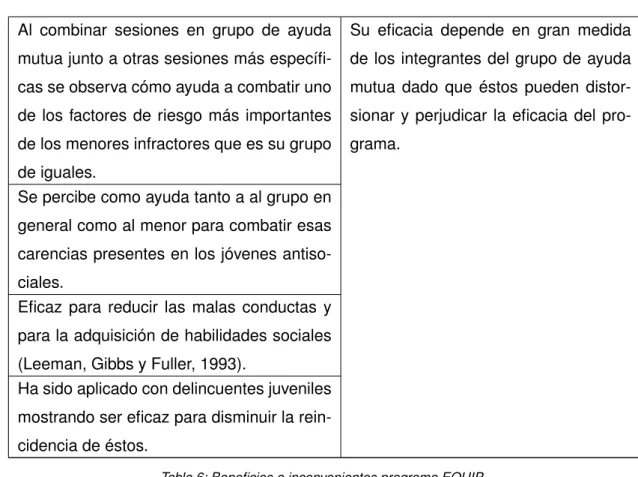 Tabla 6: Beneficios e inconvenientes programa EQUIP.