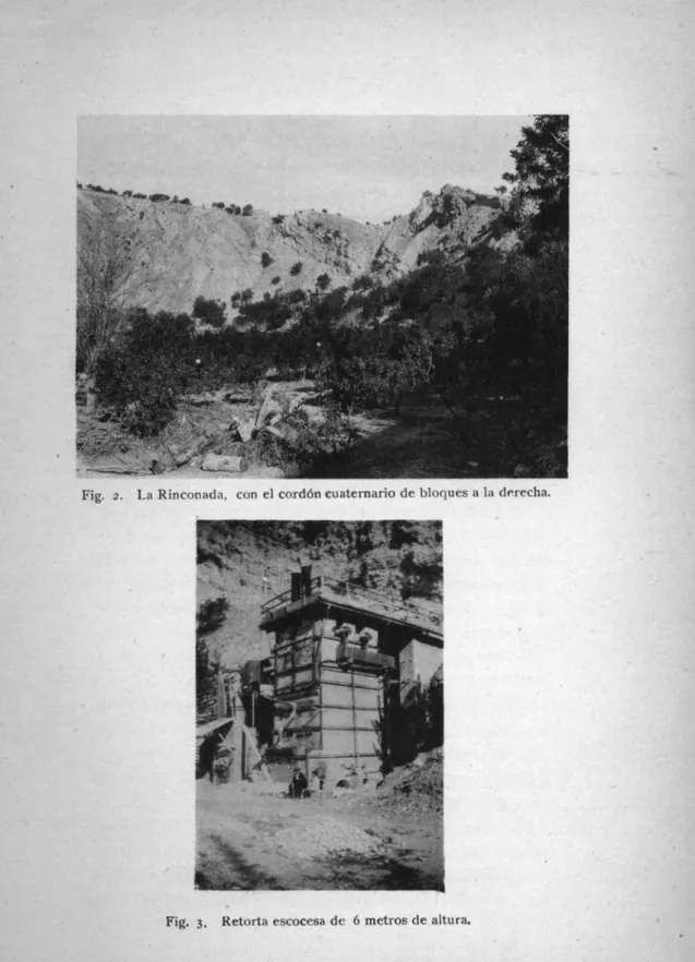 Fig. 2. La Rin con ad a, con el cordón cuatern ar io de bloques a la de recha,