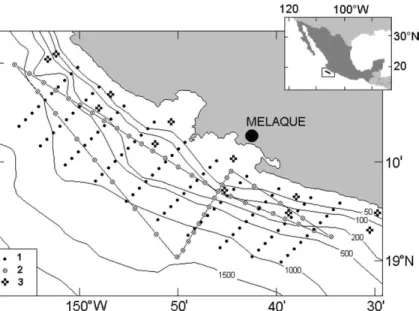 Fig. 1. Study area. (a) The cruise track corresponding to 1996–1997 surveys; lines with arrowheads are the cruise track corresponding to 1998 surveys