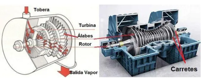 Figura 12. Partes de una turbina de vapor. 