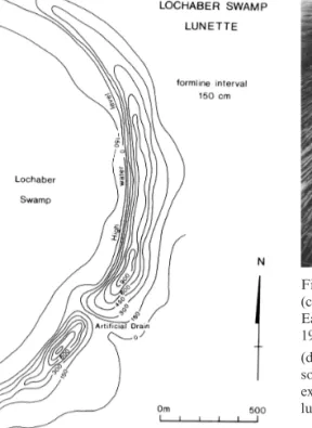 Fig. 4. Aspects of the sebkha complex: