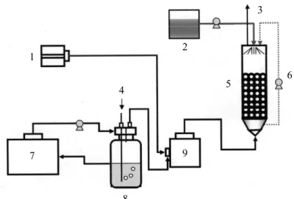 Figure 1. A diagram of bench scale trickling filter system, 1 – air blower, 2 – mineral solution, 3  – off gas, 4 – air intrusion, 5 – biofilter with FPC, 6 – water recirculation, 7 –toluene reservoir, 