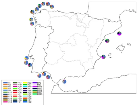 Figure 2. Haplotype distribution across localities for the F type. Each colour  represents a  haplotype
