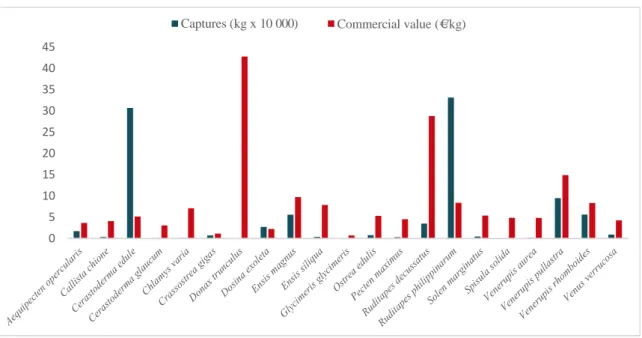 Figure  2.  Level of captures (kg x 100 000) and average commercial value (€/kg) of the  bivalve molluscs sold in Galician  fishermen’s associations  during the year 2017