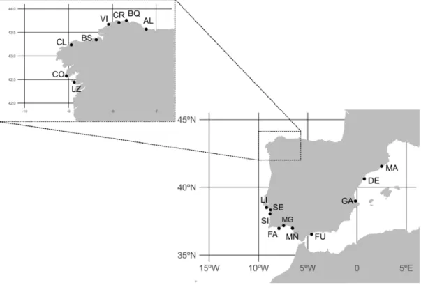Figure 1. Map showing the location of the sampled Donax  trunculus  localities along the  Iberian Peninsula  (AL: Altar, BQ: O Barqueiro, CR: Cariño, VI: Vilarrube, BS: Bastiagueiro,  CL: Corme-Laxe, CO: Corrubedo, LZ: A Lanzada, LI: Lisboa, SE: Setúbal, S