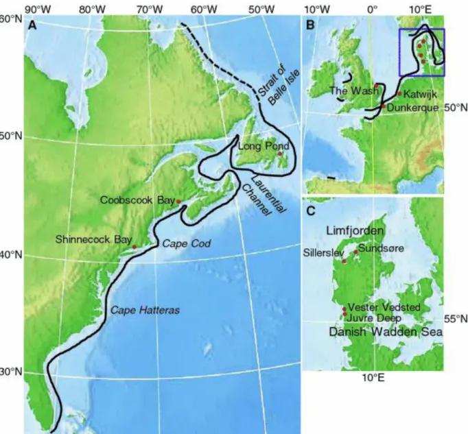 Fig. 1. Maps showing the approximate current distribution of E. directus according to Kenchington et al