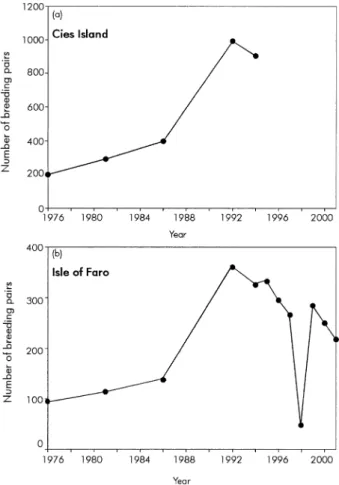 Fig. 2. Changes in the breeding population of the European shag on Cı´es Islands (Galicia, northwest Spain) between 1976 and 2001; (a) counts of the whole population of Cı´es Islands; (b) counts on Isle of Faro (see Fig