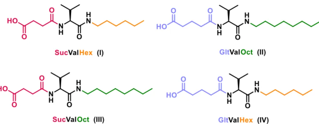 Figure  3-1  shows the  succinic  acid  and  glutaric  acid  derivatives  prepared  for  the  studies carried out in the present project