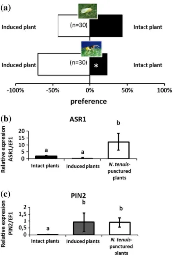 Fig. 5 Nesidiocoris tenuis-punctured plant induces plant defenses in intact plants. a Response of the herbivore Bemisia tabaci and the parasitoid Encarsia formosa females in a Y-tube olfactometer when exposed to intact and induced (plants that had not been
