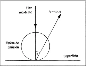 Figura  8.-Ley  de  distribución  del coseno para la emisión  de  SE y  BE desde  una superficie  tras  una  incidencia  normal  del haz