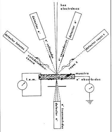 Figura  6.-Tipos de  seña- seña-les  emitidos por  la   mues-tra  en  el SEM mues-tras  su  interacción  con  el haz  electrónico