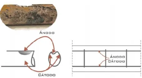 Figura 1.9  Modelo de Tuutti 
