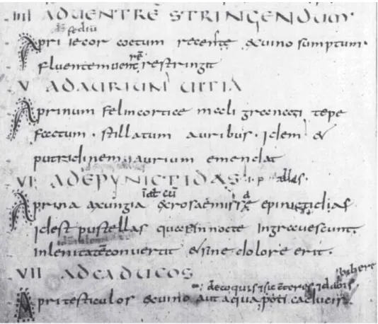 fig. 1: Wroclaw, Bibl. Univ., III.F.19, fol. 98v.