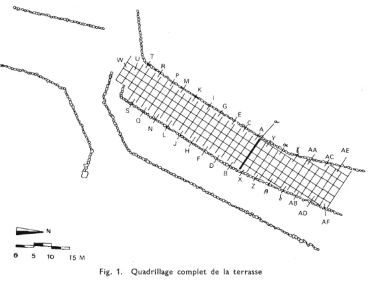 Fig.  1.  Qua,d rfllage  com plet  de  la  terrasse 