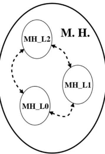 figure 4. This means that each MH can be further divided in three smaller  components (inferior order holons) that will be referred as MH_L2, MH_L1  and MH_L0