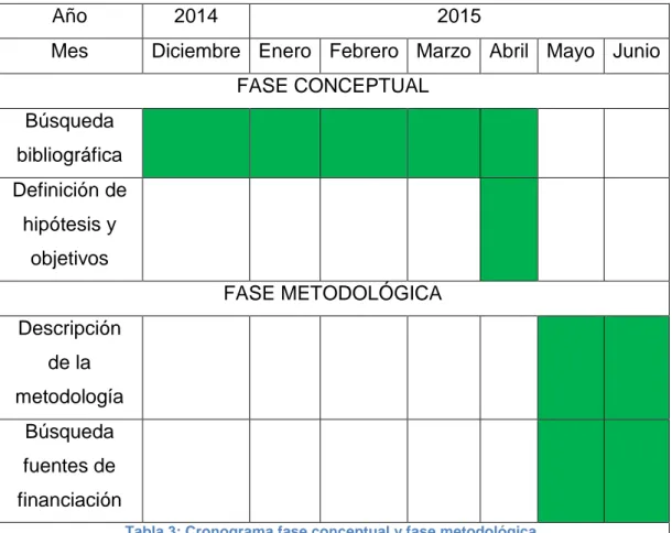 Tabla 3: Cronograma fase conceptual y fase metodológica. 