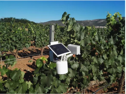 Figure 7: Picture of the SEnviro unit in the field.