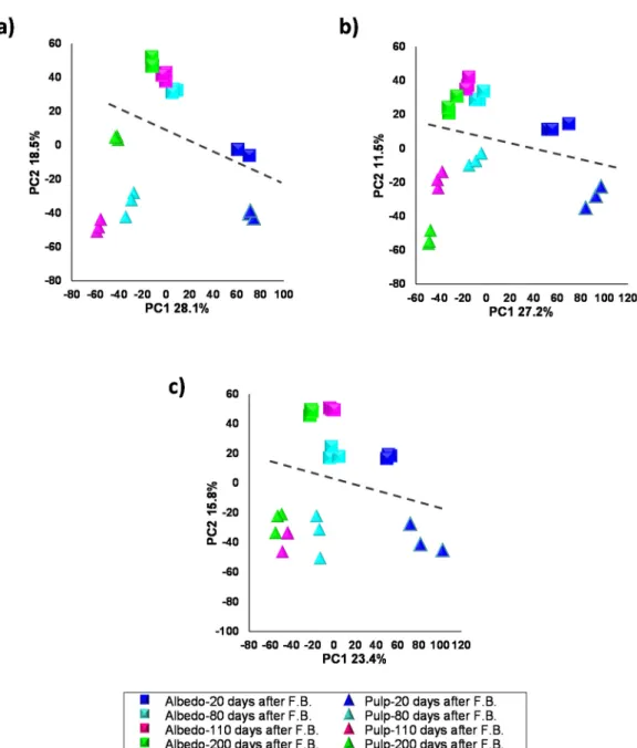 Figure 2. Scores 2D scatter plot after PLS-DA analysis of secondary metabolite profiles from albedo  and pulp of Duncan grapefruit (a), Wase mandarin (b) and Thomson navel orange (c) 20, 80, 110 and  200 days after full bloom in negative electrospray ioniz