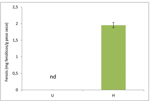 Figura 13: Contido fenólico obtido en Himanthalia (H) e en Undaria (U). Os datos son  medias ± o erro estándar