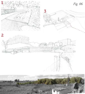 Fig. 07.- Vegetación de estado actual en la parcela