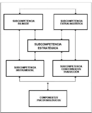 Ilustración 2. Esquema del modelo holístico de PACTE 2003