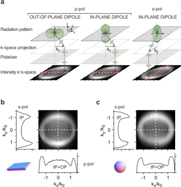 Figure 1: Momentum (k-space) resolved photo-luminescence: (a) By choosing one polarisation axis, the back aperture image of a microscope objective can be analyzed with respect to in-plane (IP) and out-of-plane (OP) transition dipole emission