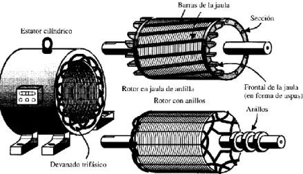 Figura 1.35: Motor de jaula de ardilla y motor de rotor bobinado. 