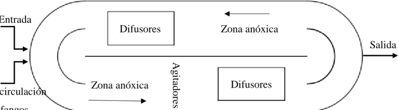 Figura M.4. Esquema reactor tipo carrusel.