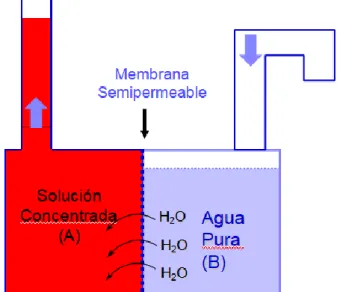 Figura M.14. Esquema de la ósmosis. 