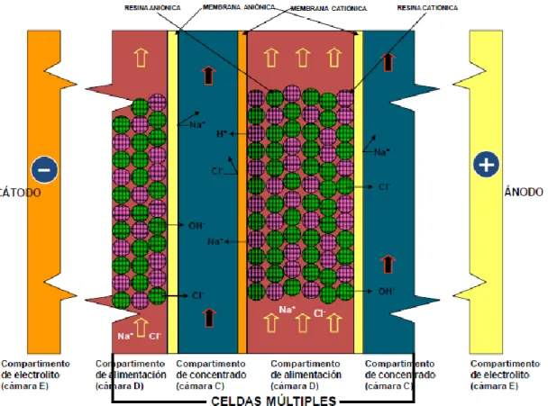 Figura M.19. Esquema de funcionamiento de módulo EDI. 