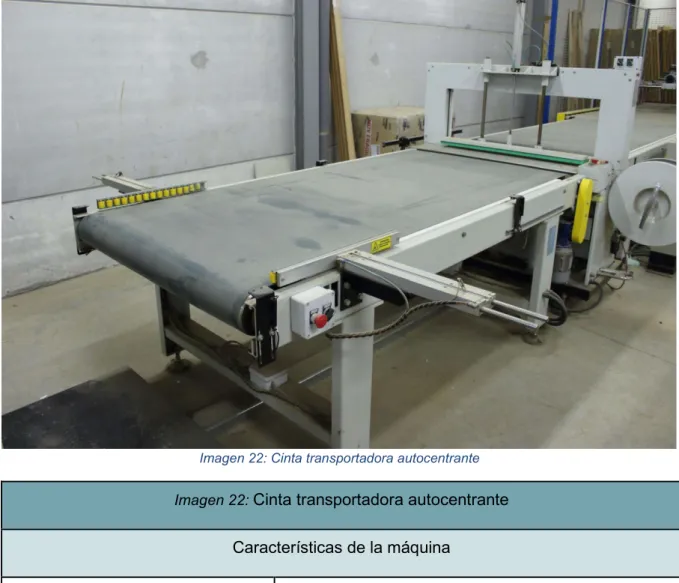 Tabla 5: Características de la cinta transportadora autocentrante 