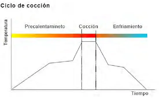 Figura 5. Ciclo de cocción 
