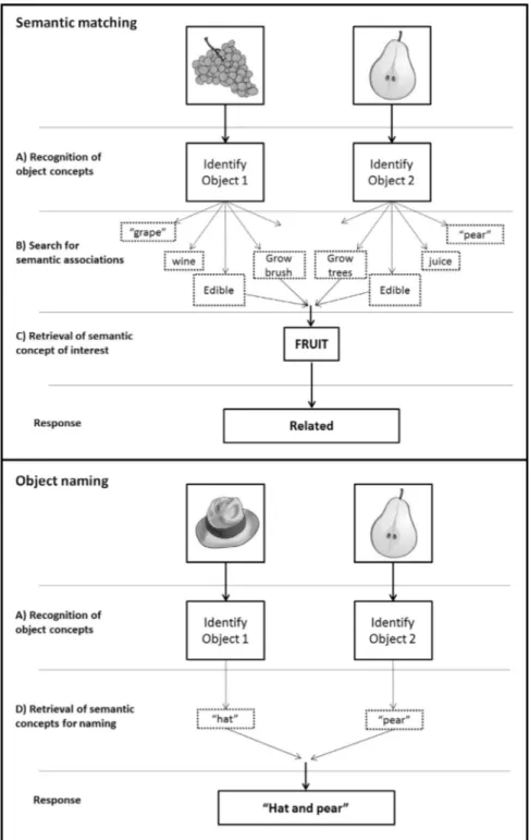 Fig. 1. Task analysis for a single semantic matching and object naming trial. Top panel: Semantic matching trial: Deciding whether two stimuli are related or unrelated, involves (A) recognising object concepts; (B) searching for associations related to eac