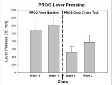 FIGURE 1 | Effects of the availability of a food substitute on PROG lever pressing output reinforced by high-carbohydrate pellets