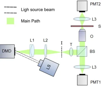 Figure 1: Experimental set-up. (LS) Light Source. (DMD) Digital micromirror device. (L1, L2) Relay lenses
