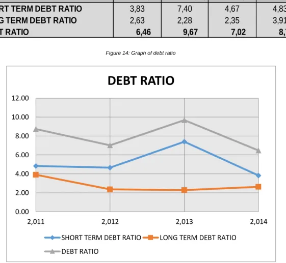 Figure 14: Graph of debt ratio 