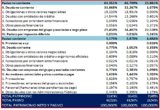 Figure 11: Vertical analysis of Grifols liabilities and equity. 