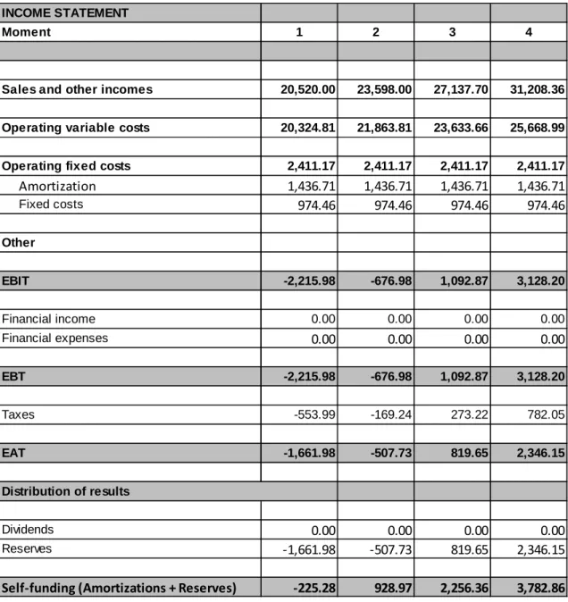 Table 7. Provisional income statement without financing. 