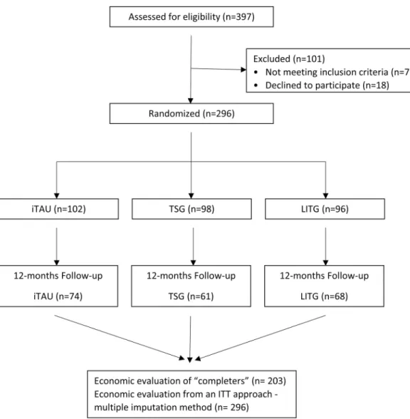 Fig 1. CONSORT flowchart of the participants in the economic evaluation. iTAU: improved treatment as usual;