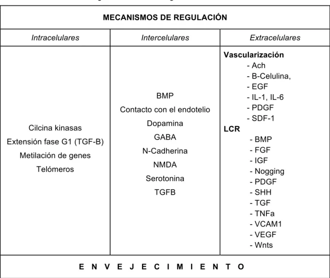 Tabla 2. Mecanismos de regulación de la neurogénesis. 